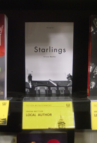 Starlings on the shelf in Waterstones